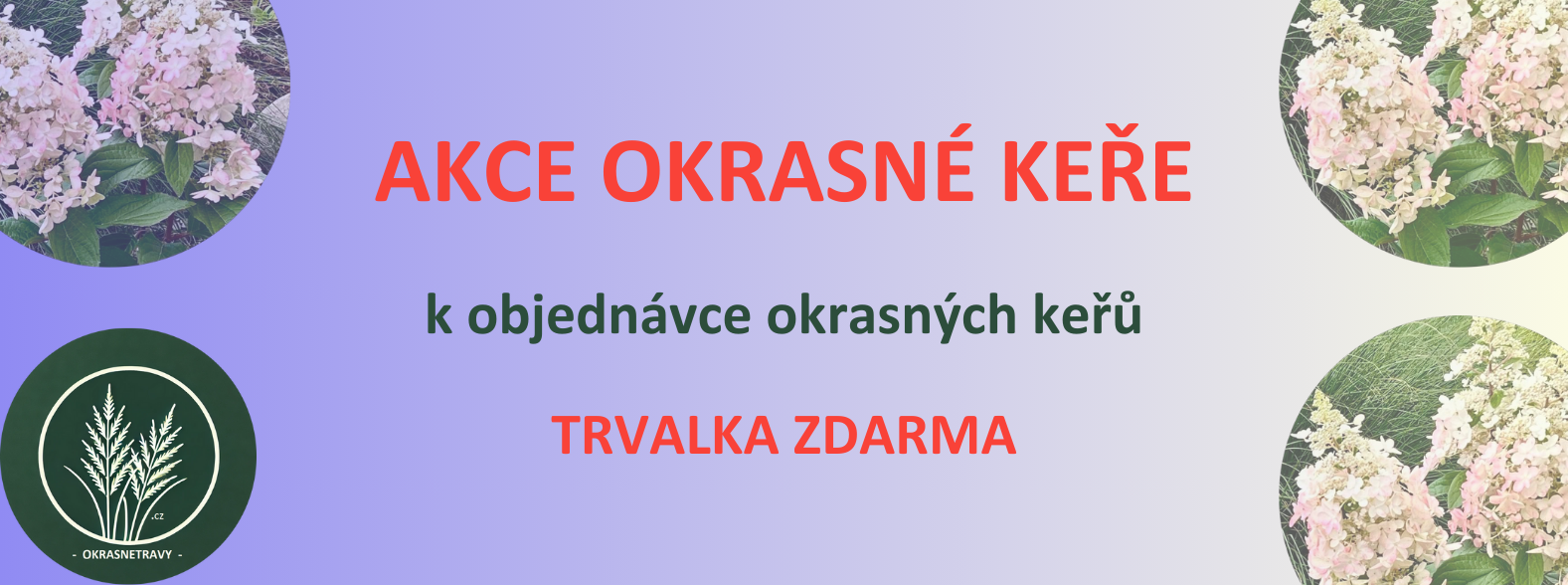 Kategorie keře